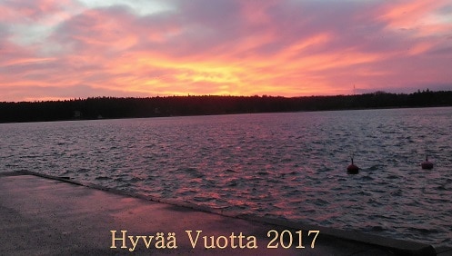 HyvC3A4C3A4Vuotta2017