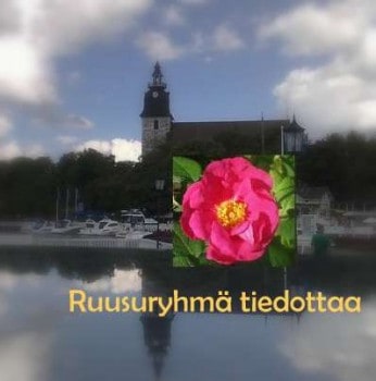 custom-RuusuryhmaAa2010